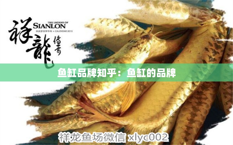 魚缸品牌知乎：魚缸的品牌 廣州龍魚批發(fā)市場(chǎng)