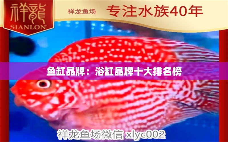 魚缸品牌：浴缸品牌十大排名榜