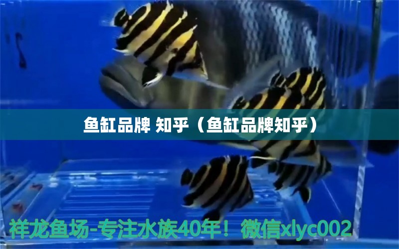 魚缸品牌 知乎（魚缸品牌知乎） 其他品牌魚缸