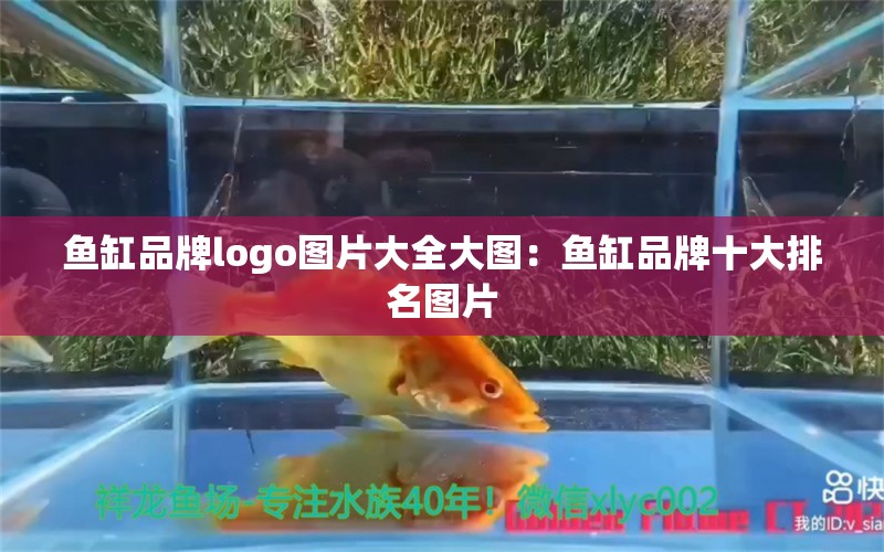 魚(yú)缸品牌logo圖片大全大圖：魚(yú)缸品牌十大排名圖片