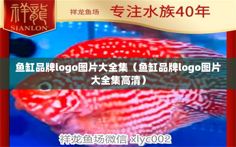 魚缸品牌logo圖片大全集（魚缸品牌logo圖片大全集高清）