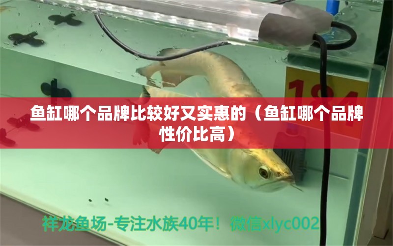 魚(yú)缸哪個(gè)品牌比較好又實(shí)惠的（魚(yú)缸哪個(gè)品牌性價(jià)比高） 祥龍魚(yú)藥系列