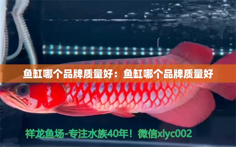 魚缸哪個(gè)品牌質(zhì)量好：魚缸哪個(gè)品牌質(zhì)量好