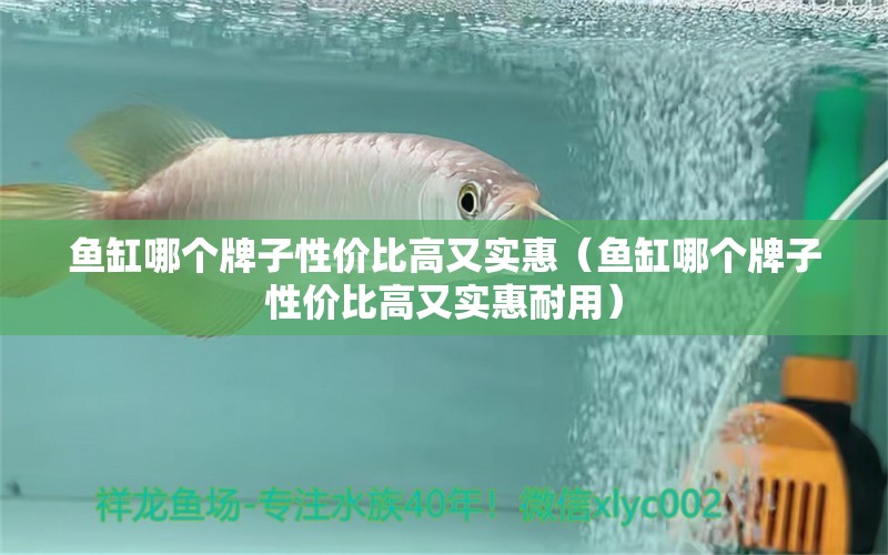 魚(yú)缸哪個(gè)牌子性價(jià)比高又實(shí)惠（魚(yú)缸哪個(gè)牌子性價(jià)比高又實(shí)惠耐用）