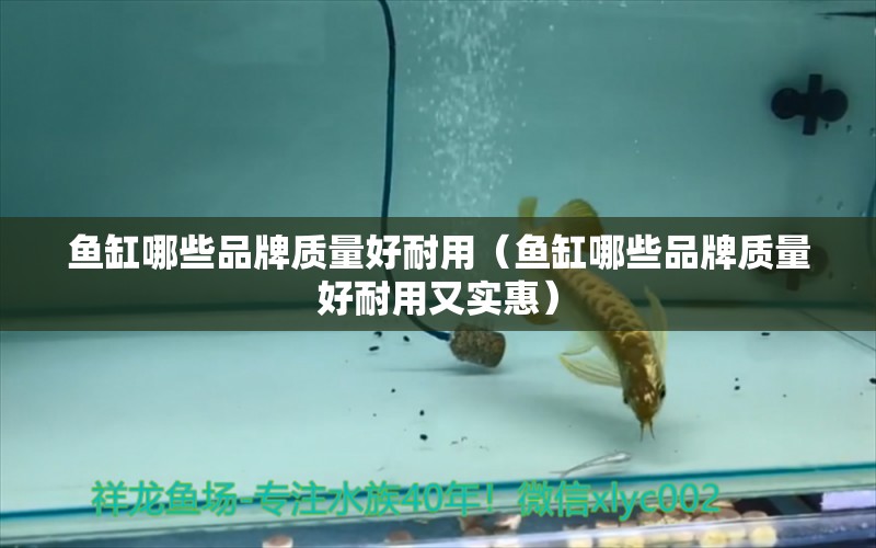 魚缸哪些品牌質(zhì)量好耐用（魚缸哪些品牌質(zhì)量好耐用又實(shí)惠）