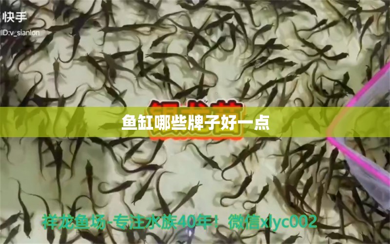 魚缸哪些牌子好一點