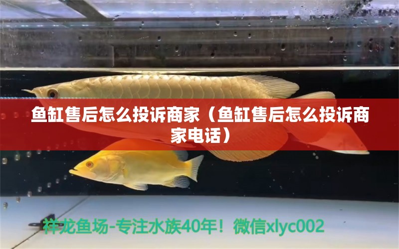 魚缸售后怎么投訴商家（魚缸售后怎么投訴商家電話）