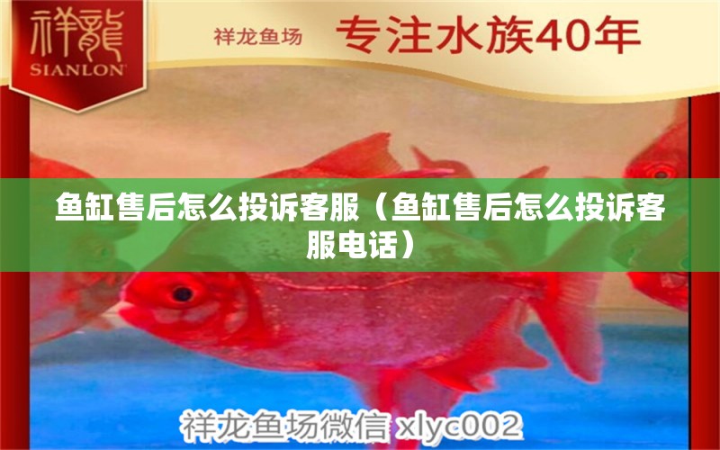 魚(yú)缸售后怎么投訴客服（魚(yú)缸售后怎么投訴客服電話） 其他品牌魚(yú)缸