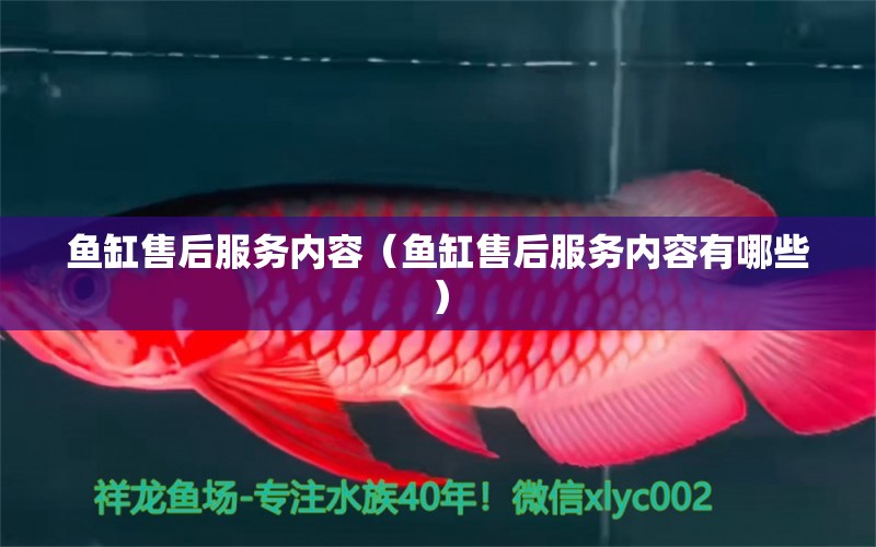 魚缸售后服務內(nèi)容（魚缸售后服務內(nèi)容有哪些） 其他品牌魚缸