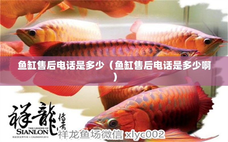 魚(yú)缸售后電話是多少（魚(yú)缸售后電話是多少?。?其他品牌魚(yú)缸