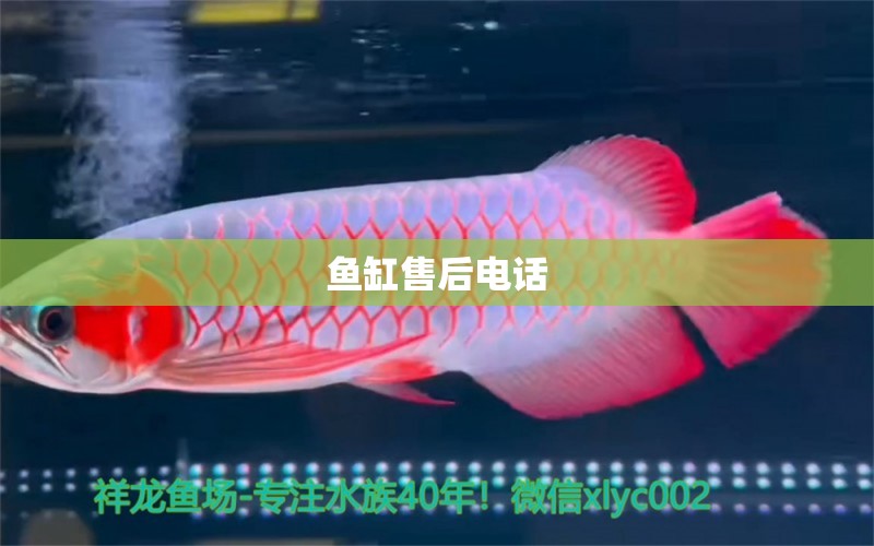 魚缸售后電話