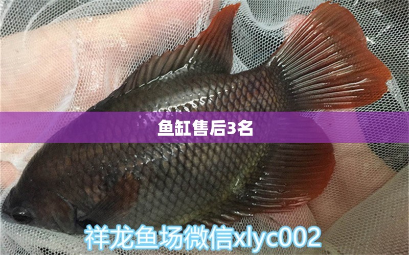 魚缸售后3名 其他品牌魚缸