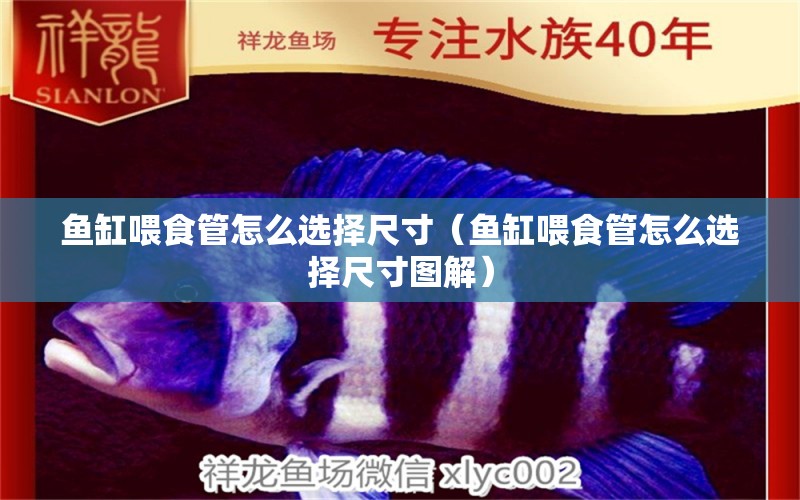 魚缸喂食管怎么選擇尺寸（魚缸喂食管怎么選擇尺寸圖解）