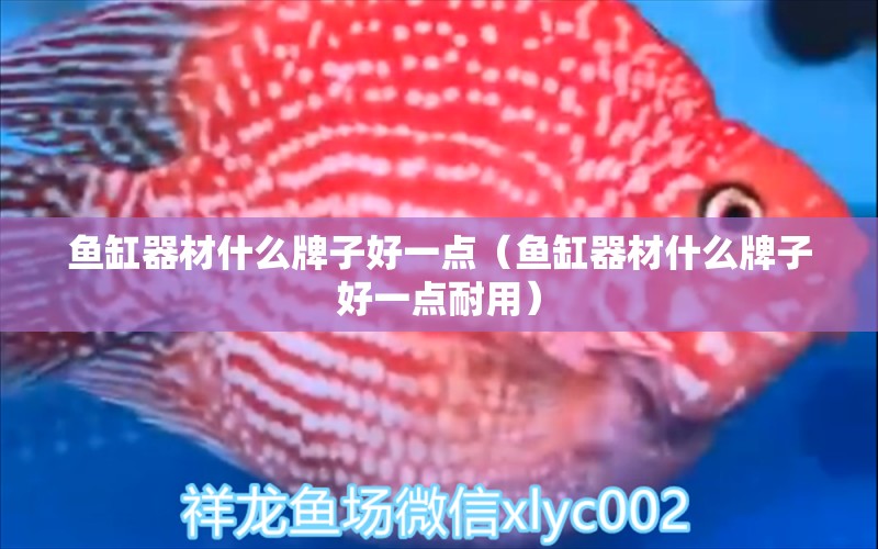 魚缸器材什么牌子好一點(diǎn)（魚缸器材什么牌子好一點(diǎn)耐用） 祥龍水族醫(yī)院