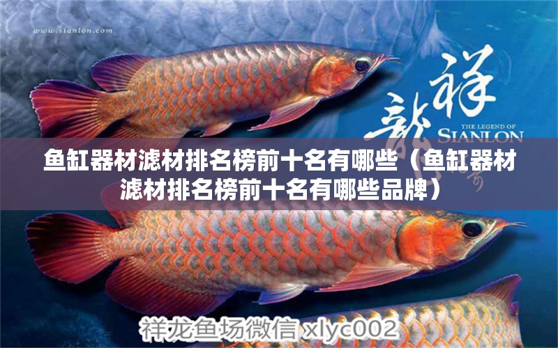 魚缸器材濾材排名榜前十名有哪些（魚缸器材濾材排名榜前十名有哪些品牌） 祥龍水族醫(yī)院