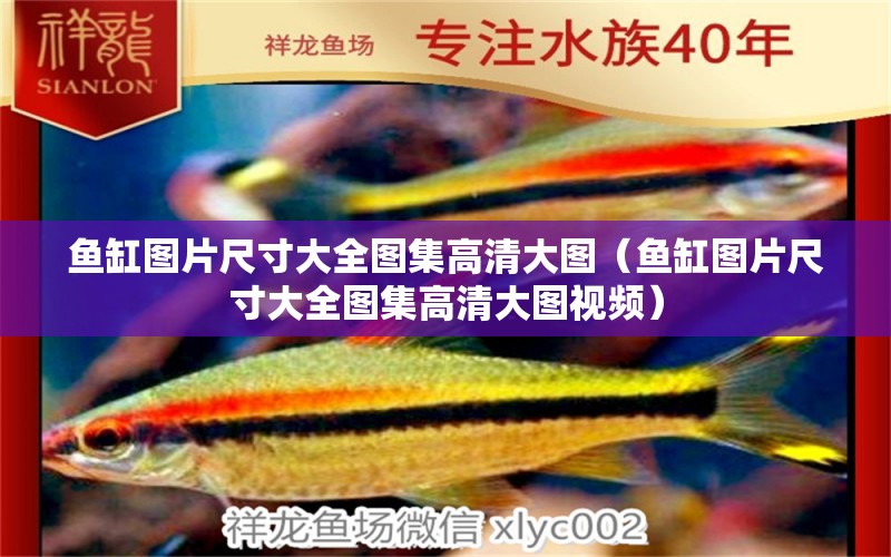 魚(yú)缸圖片尺寸大全圖集高清大圖（魚(yú)缸圖片尺寸大全圖集高清大圖視頻）