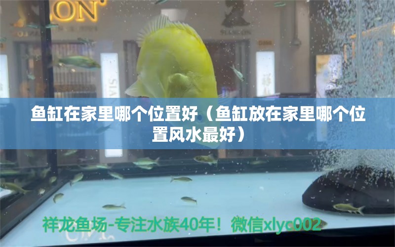 魚缸在家里哪個位置好（魚缸放在家里哪個位置風水最好） 魚缸風水