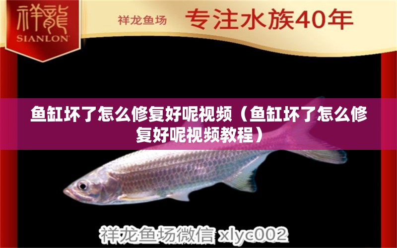 魚缸壞了怎么修復(fù)好呢視頻（魚缸壞了怎么修復(fù)好呢視頻教程）