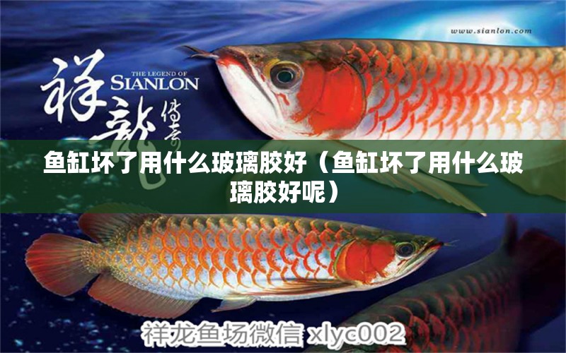 魚缸壞了用什么玻璃膠好（魚缸壞了用什么玻璃膠好呢） 元寶鳳凰魚專用魚糧