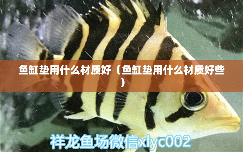 魚缸墊用什么材質(zhì)好（魚缸墊用什么材質(zhì)好些）