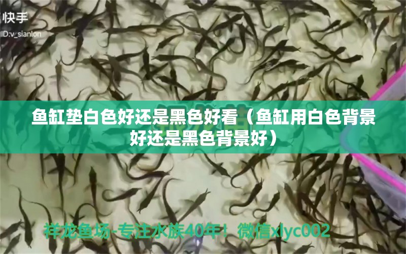 魚缸墊白色好還是黑色好看（魚缸用白色背景好還是黑色背景好）