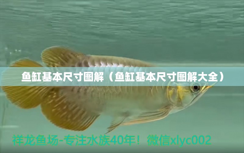 魚缸基本尺寸圖解（魚缸基本尺寸圖解大全）