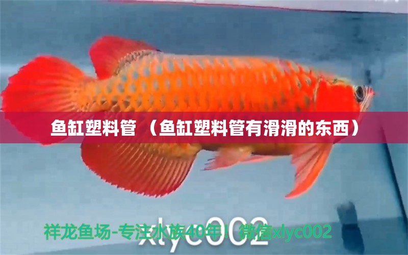 魚缸塑料管 （魚缸塑料管有滑滑的東西）