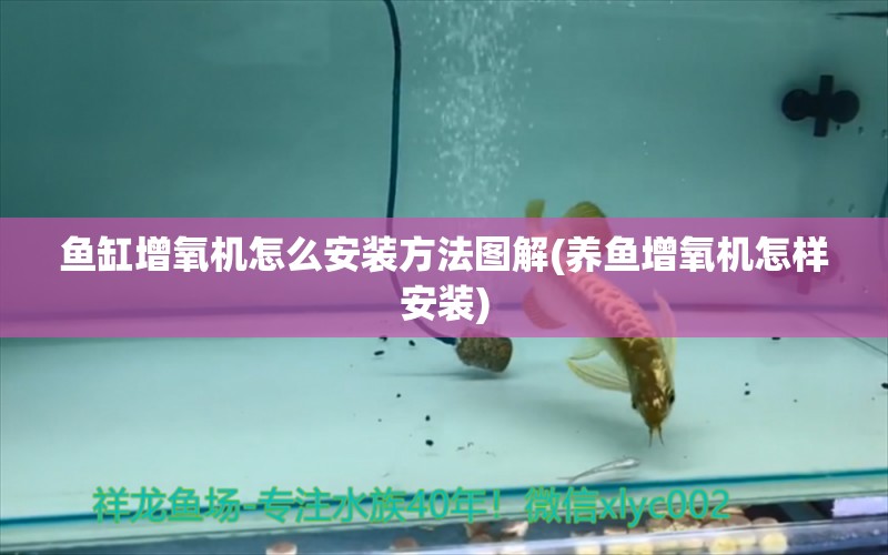 魚(yú)缸增氧機(jī)怎么安裝方法圖解(養(yǎng)魚(yú)增氧機(jī)怎樣安裝)