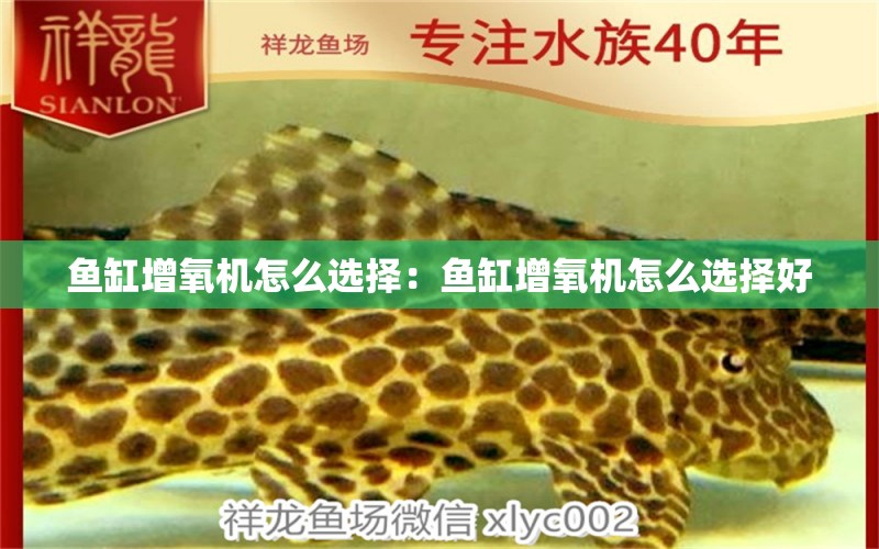 魚缸增氧機(jī)怎么選擇：魚缸增氧機(jī)怎么選擇好 觀賞魚市場（混養(yǎng)魚）