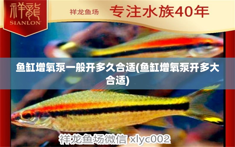 魚缸增氧泵一般開多久合適(魚缸增氧泵開多大合適)