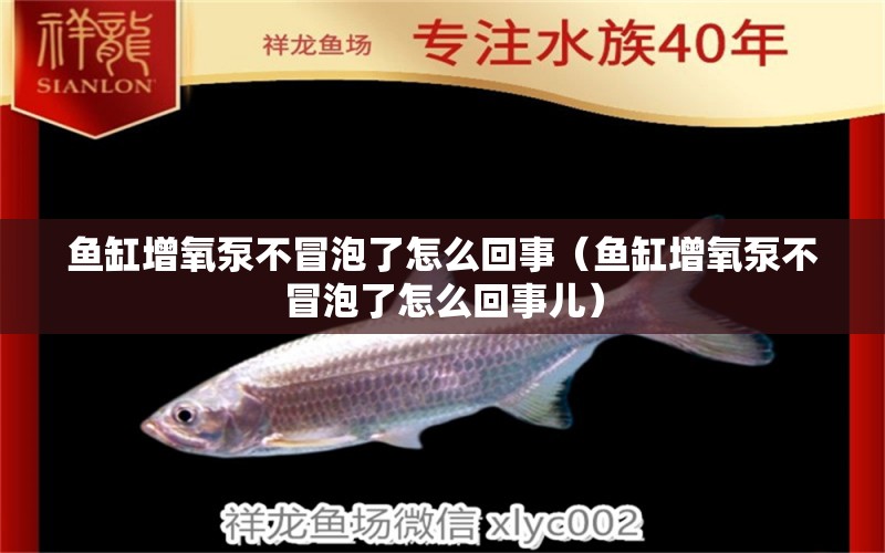 魚缸增氧泵不冒泡了怎么回事（魚缸增氧泵不冒泡了怎么回事兒） 野彩魚