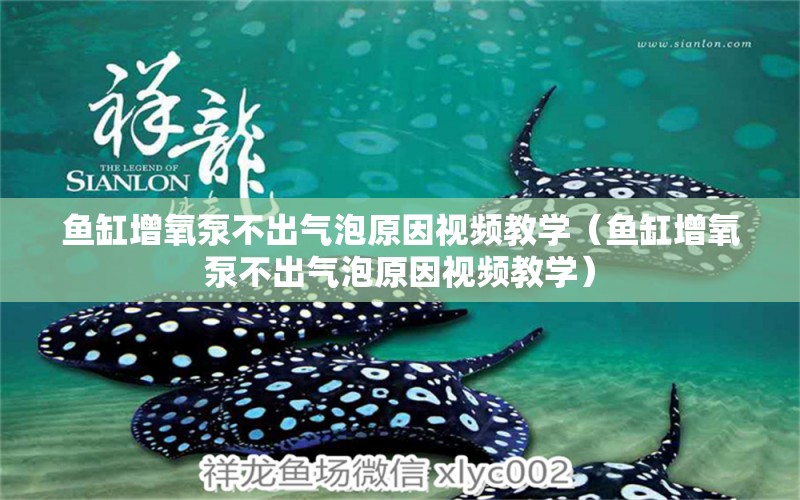 魚缸增氧泵不出氣泡原因視頻教學(xué)（魚缸增氧泵不出氣泡原因視頻教學(xué)）