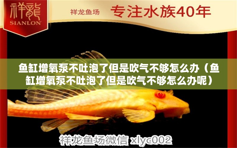 魚(yú)缸增氧泵不吐泡了但是吹氣不夠怎么辦（魚(yú)缸增氧泵不吐泡了但是吹氣不夠怎么辦呢）