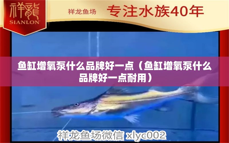 魚缸增氧泵什么品牌好一點(diǎn)（魚缸增氧泵什么品牌好一點(diǎn)耐用）