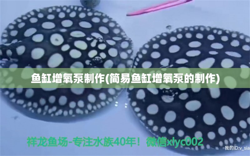 魚缸增氧泵制作(簡(jiǎn)易魚缸增氧泵的制作) 麥肯斯銀版魚