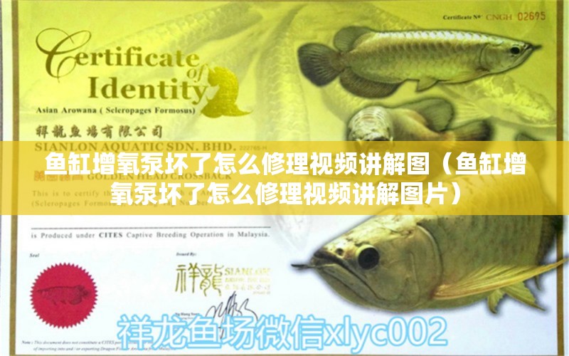 魚缸增氧泵壞了怎么修理視頻講解圖（魚缸增氧泵壞了怎么修理視頻講解圖片）