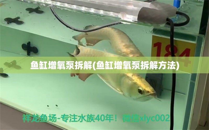 魚缸增氧泵拆解(魚缸增氧泵拆解方法)