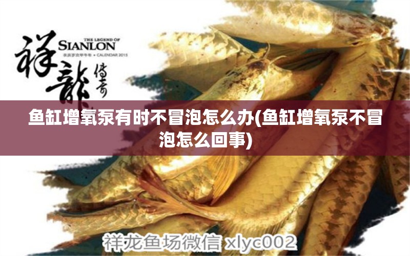 魚缸增氧泵有時不冒泡怎么辦(魚缸增氧泵不冒泡怎么回事) 進口元寶鳳凰魚