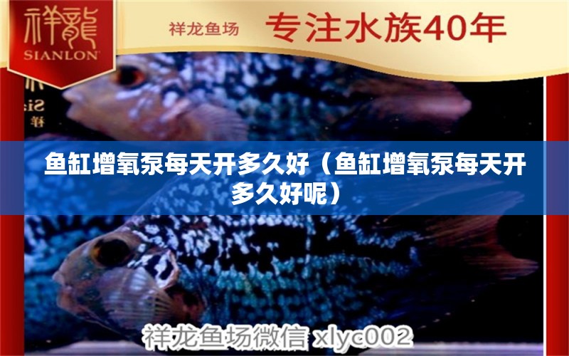 魚缸增氧泵每天開多久好（魚缸增氧泵每天開多久好呢） 祥龍水族醫(yī)院