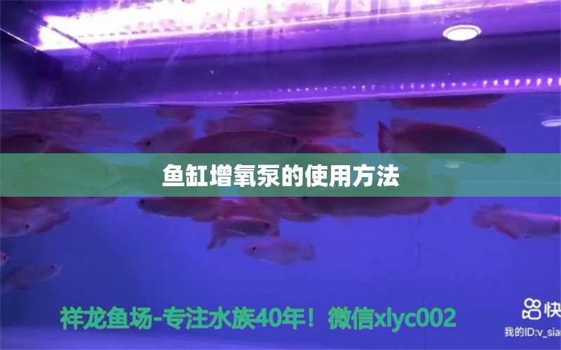 魚缸增氧泵的使用方法 觀賞魚