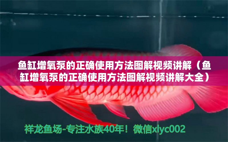 魚缸增氧泵的正確使用方法圖解視頻講解（魚缸增氧泵的正確使用方法圖解視頻講解大全） 魚缸風(fēng)水