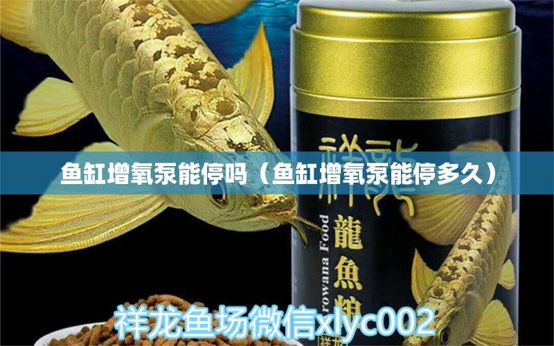 魚缸增氧泵能停嗎（魚缸增氧泵能停多久）