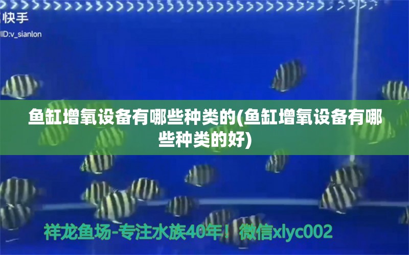 魚缸增氧設備有哪些種類的(魚缸增氧設備有哪些種類的好) 黃金斑馬魚