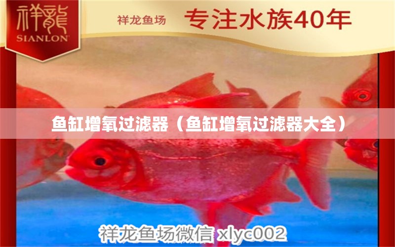 魚缸增氧過濾器（魚缸增氧過濾器大全） 祥龍水族醫(yī)院