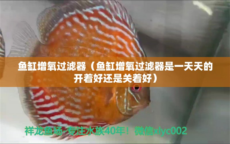 魚缸增氧過濾器（魚缸增氧過濾器是一天天的開著好還是關(guān)著好）