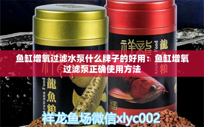 魚缸增氧過濾水泵什么牌子的好用：魚缸增氧過濾泵正確使用方法 觀賞魚市場