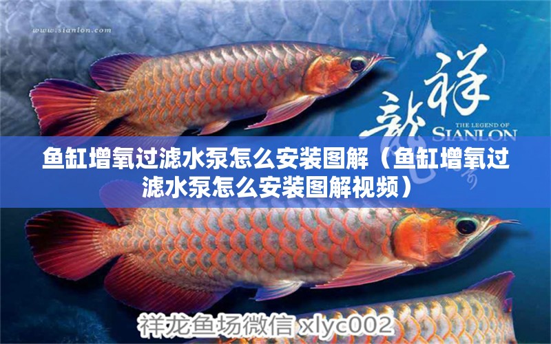 魚缸增氧過濾水泵怎么安裝圖解（魚缸增氧過濾水泵怎么安裝圖解視頻）