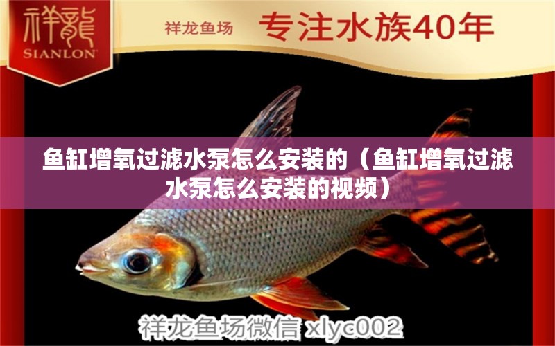 魚(yú)缸增氧過(guò)濾水泵怎么安裝的（魚(yú)缸增氧過(guò)濾水泵怎么安裝的視頻）