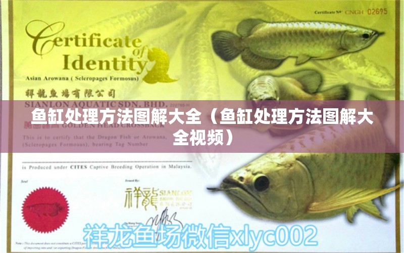 魚(yú)缸處理方法圖解大全（魚(yú)缸處理方法圖解大全視頻）