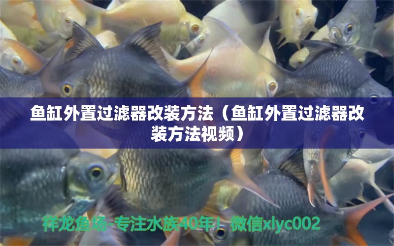 魚缸外置過濾器改裝方法（魚缸外置過濾器改裝方法視頻）